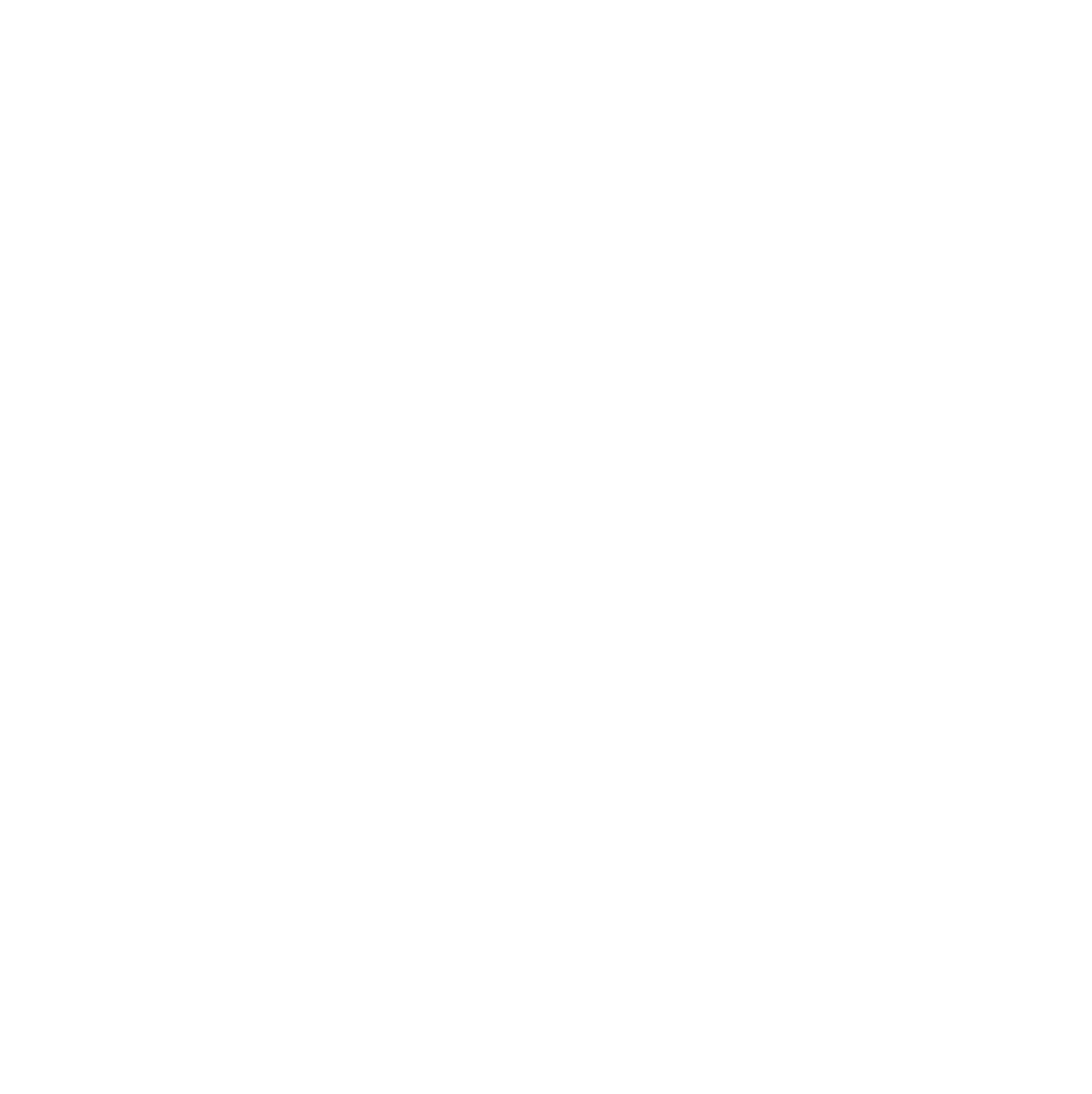 Logo True Noir Tattoo